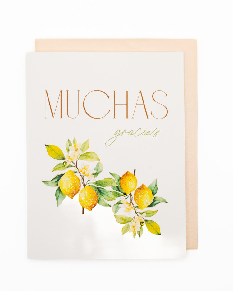 Muchas Gracias Thank You Greeting Card