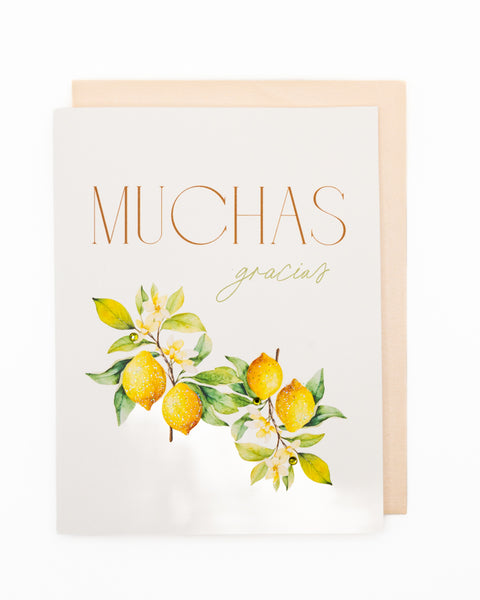 Muchas Gracias Thank You Greeting Card