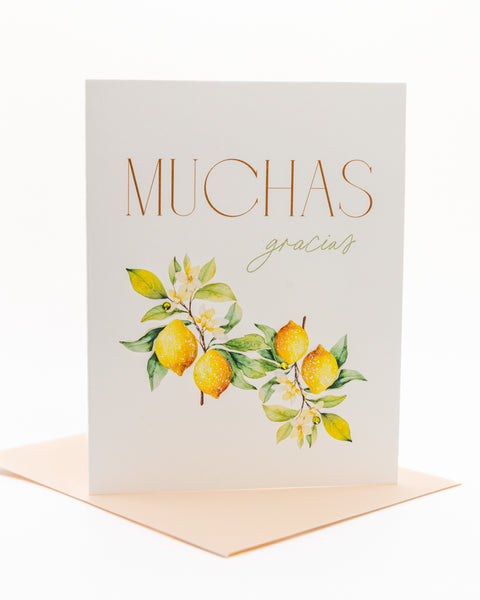 Muchas Gracias Thank You Greeting Card